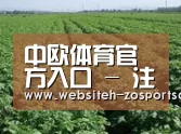 种植基地五(图1)