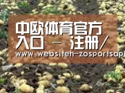 种植基地八(图1)