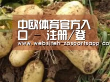 产品展示标题2