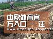 种植基地七(图1)