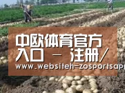 种植基地八