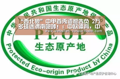 “西北狼”中甲首秀遗憾告负 2万多球迷渭南咆哮!:中欧体育,中欧体育app,中欧体育官网,中欧体育官网入口(图1) 中欧体育,中欧体育app,中欧体育官网,中欧体育官网入口
